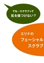LB_FS