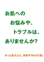 LB_FS