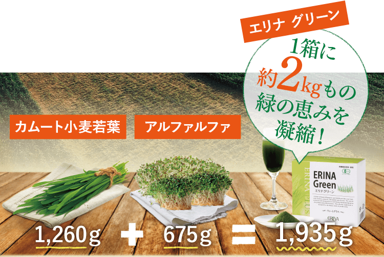 エリナ グリーン1箱に約2kgもの緑の恵みを凝縮！